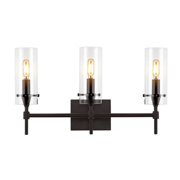 Cato Bohemian Farmhouse Iron/Glass LED Vanity